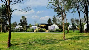 Greatland Glamping Khao Yai Resort - Image 5