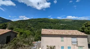Le lys de la vallée - Image 5