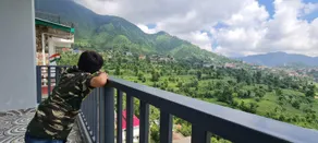 Brentwood, a luxury living experience with nature - Image 4