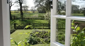 Cotton Farm - Image 4