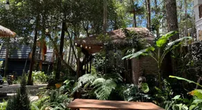 T'MĂNG ĐEENG HOMESTAY - Image 2