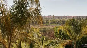 Dar Meha - Image 4