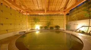 Nikko Station Hotel Classic - Image 3