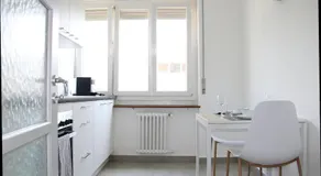 New & Modern Apartment with Beautiful Lake View! - Image 4