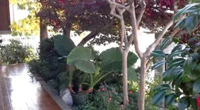 B&B Le Betulle - Image 2