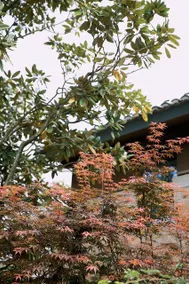 Haixia Youth Camp Resort & Hotel - Image 4