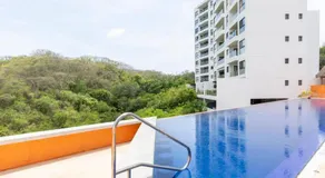 Jungle by Pardela, La Cruz de Huanacaxtle - Image 5