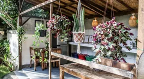 Villa Ricca Eco Lodge - Image 3
