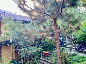 BAZAN HOME - Hotel & Bungalow - Image 5