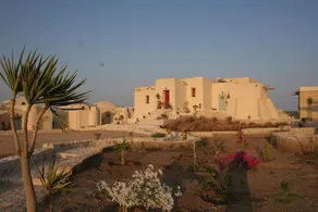 The Oasis - Image 1