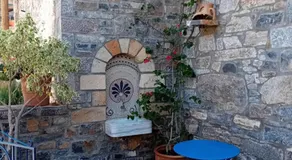 Fig Leaf House - Image 3