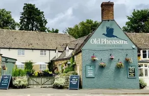 The Old Pheasant - Image 2