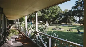 Olivi - Image 2