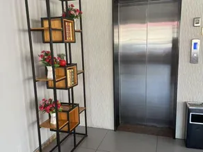 Rongcheng Jinmen Star Business Hotel (Xiongan Baiyangdian Station Branch) - Image 4