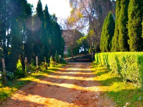 Araniko Village Resort - Image 3