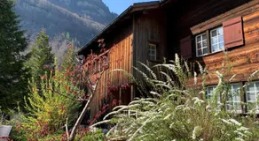 Revier lauschig und charmant - Image 4