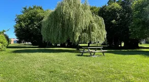 L'orée du parc - Image 3