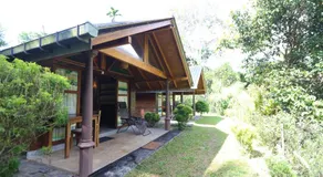 360 Rainforest - Image 4