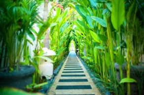 Perfect and Awesome 3BR Villa in Kuta Bali - Image 3