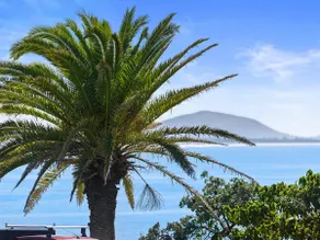 2 Bedroom Unit with Sea Views at Alexandra Headlands - Image 5