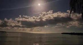 Ocean Paradise - Image 3