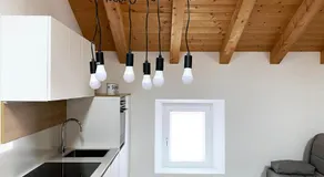 Palmamore - Image 3