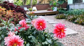 Little Garden Dream Life Home - Image 5