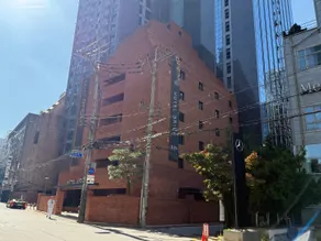 Seocho Jasmin - Image 3