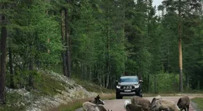 Fjällstuga 5B i Foskros m kamin - Image 5