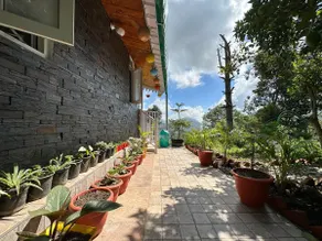 Garden Hut - Image 3