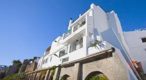 Kasbah Rose - Image 4