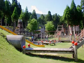 Woody Pal Yogo - Image 3