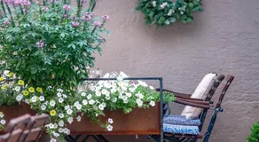 Apartment Nester - Image 4