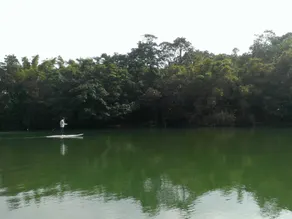 Being Outdoor - Image 5