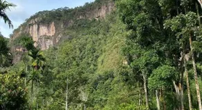 Orau Asthana - Image 4