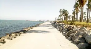 Mustapha 3 - Image 3