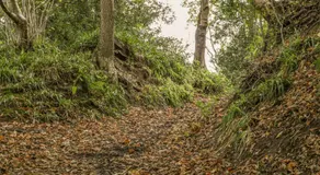 Glaisdale - Image 5