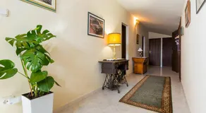 Apartments Vesna - Image 2