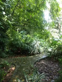 The Jungle Bungalow #Bella Finestra - Image 5