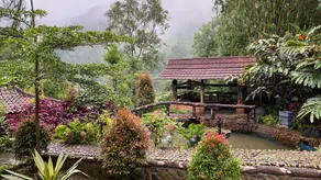 Camp de Katarina - Image 3