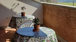 La Mimosa - Image 5