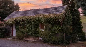 Historic Farm Romance with Miniature Goat Feeding at Hideaway Farmlet - Image 4
