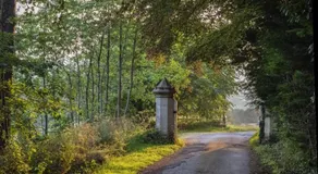 Hawkwood - Image 5