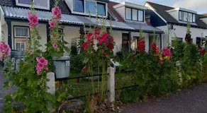 B&B TxL - Image 5