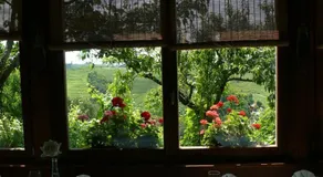 Agroturism Jures - Image 4