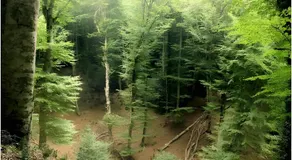 Casa Natura Gargano - Image 2