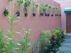 D's Corner & Guesthouse - Image 4