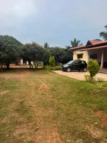 Heritage Thotti Mane on 2.5 Acre Fruit Farm - Image 5