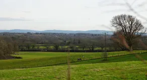 Belle's Belle-Vue - Image 5