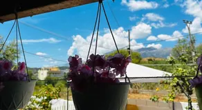 Natural Hostel - Image 3